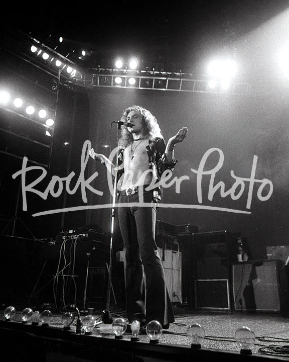 Robert Plant by Larry Hulst