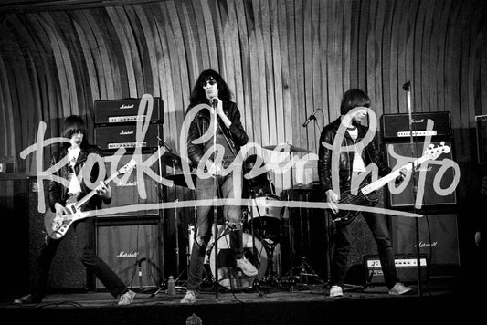 The Ramones by Larry Hulst