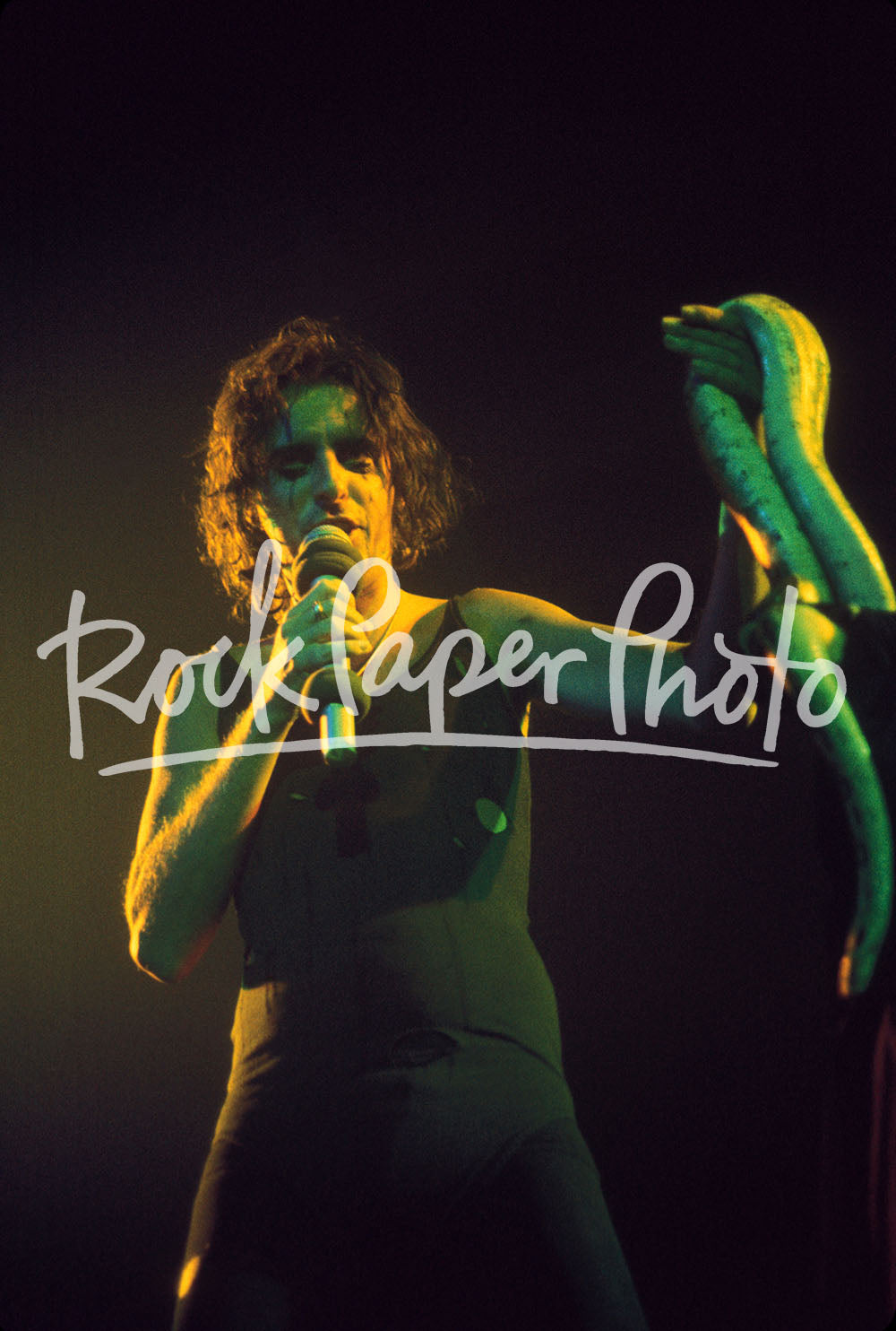 Alice Cooper by Kevin Estrada
