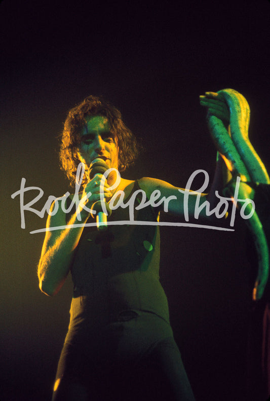 Alice Cooper by Kevin Estrada