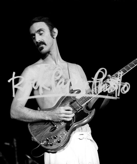 Frank Zappa by Larry Hulst