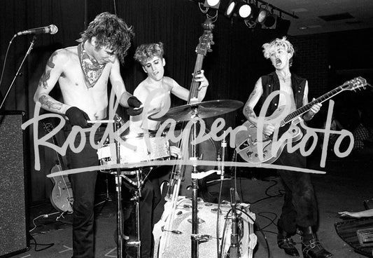 Stray Cats by Chester Simpson