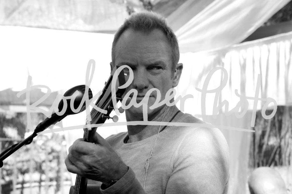 Sting by Sam Erickson