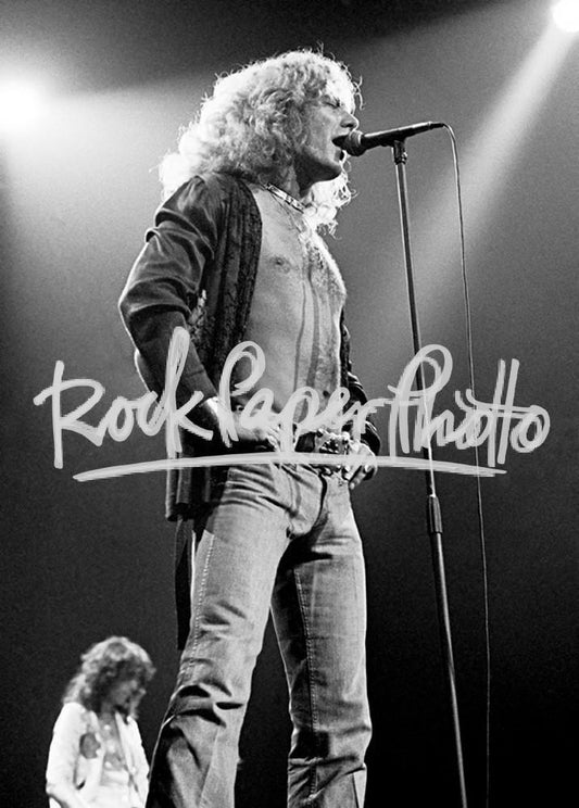 Led Zeppelin by Bobby Bank