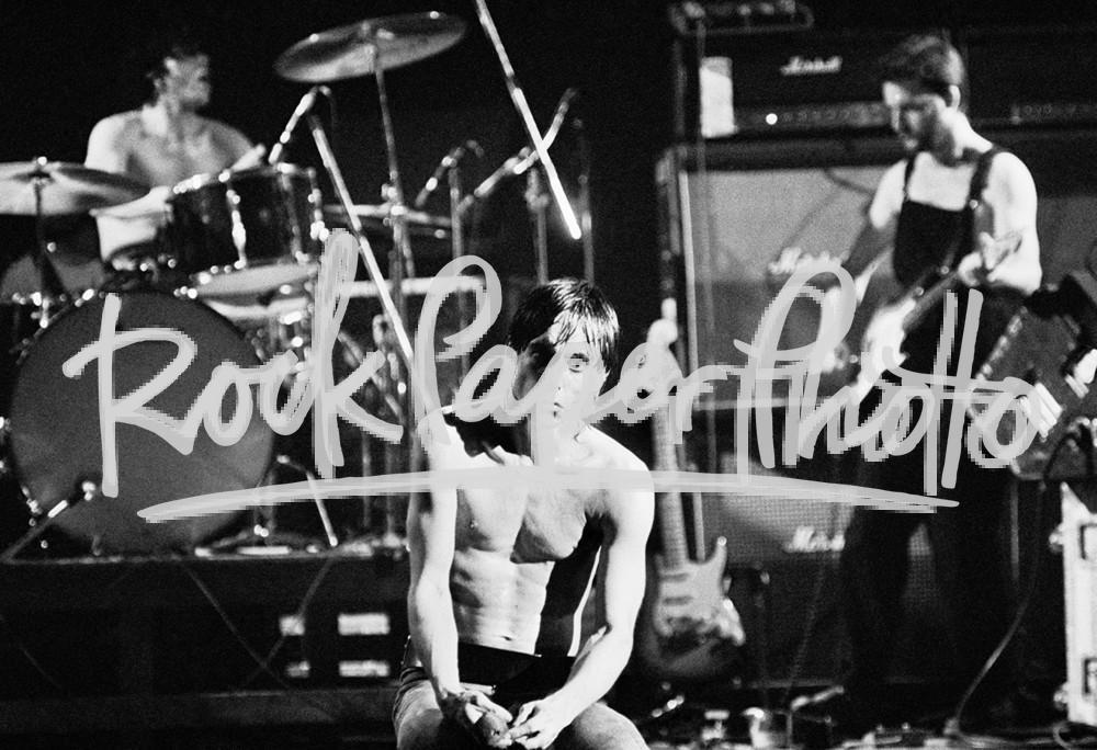 Iggy Pop by Dean Simmon