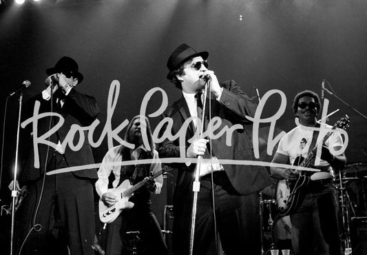 Blues Brothers by Larry Hulst