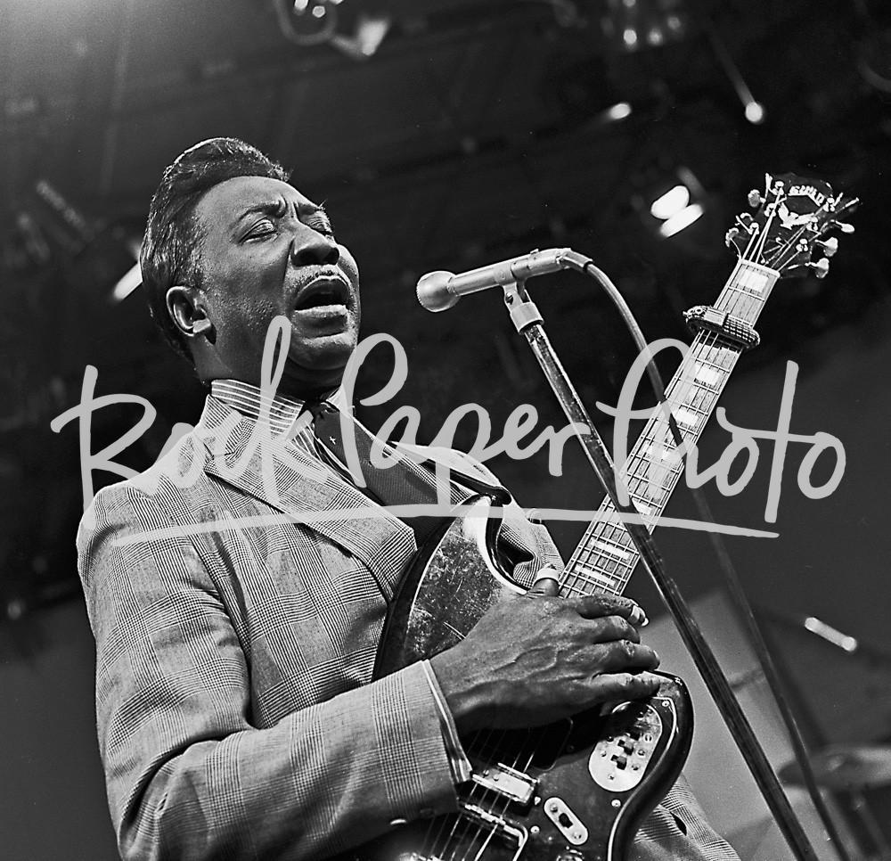 Muddy Waters by Lee Tanner