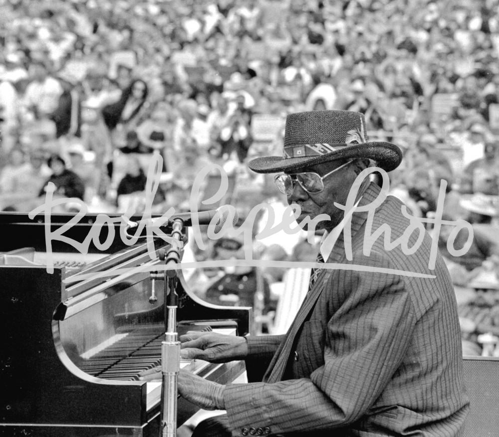 Pinetop Perkins by Lee Tanner