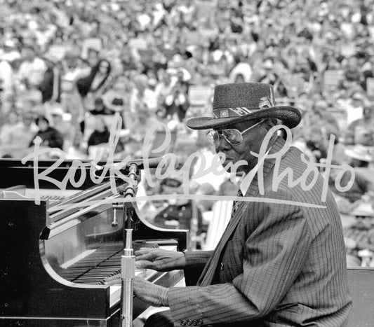 Pinetop Perkins by Lee Tanner