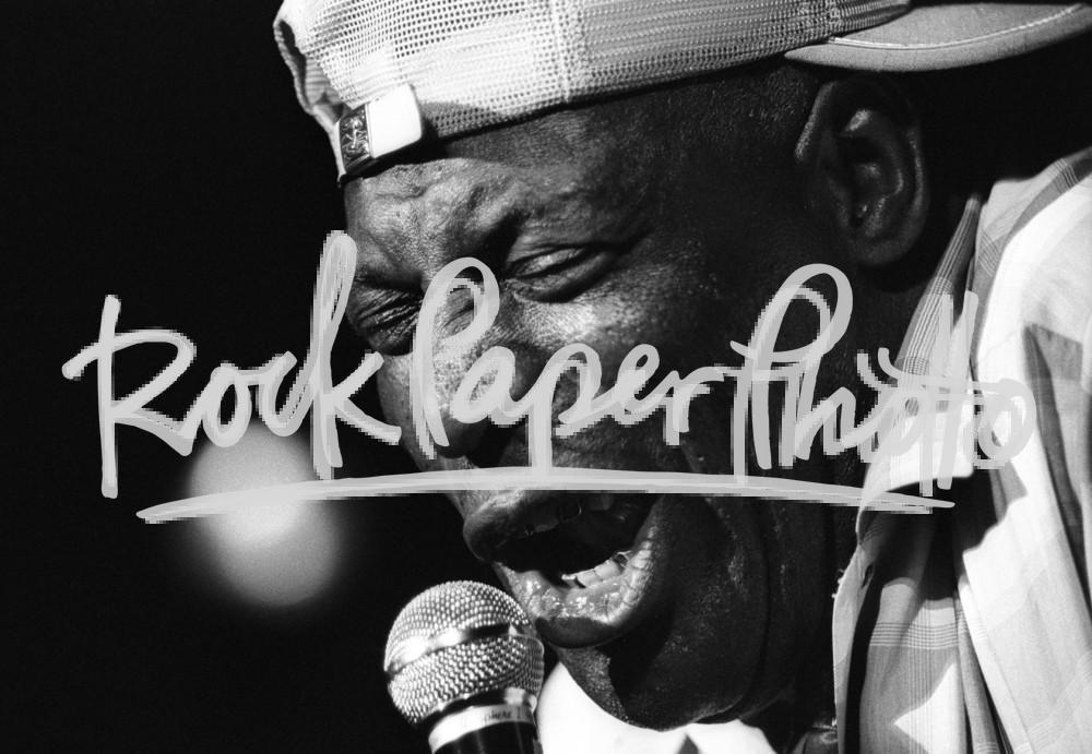 Howlin' Wolf by Thomas Copi