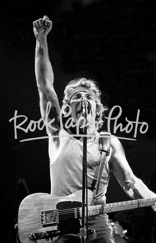 Bruce Springsteen by Art Meripol