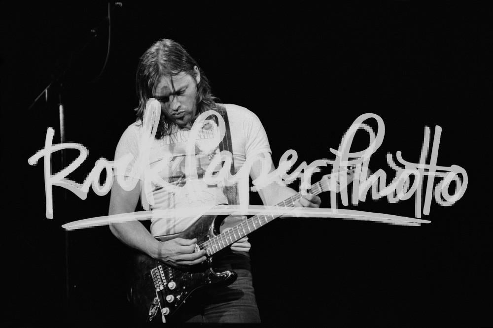 David Gilmour by Larry Hulst