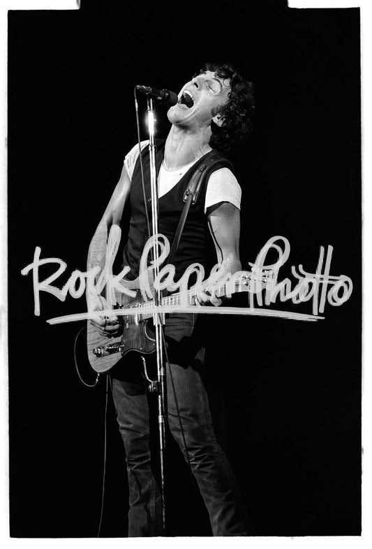 Bruce Springsteen by Lisa Tanner