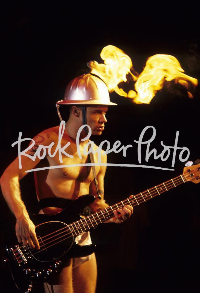 Flea by Steve Eichner