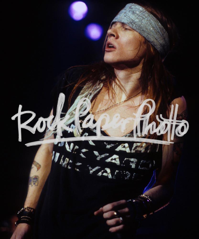 Axl Rose by David Plastik