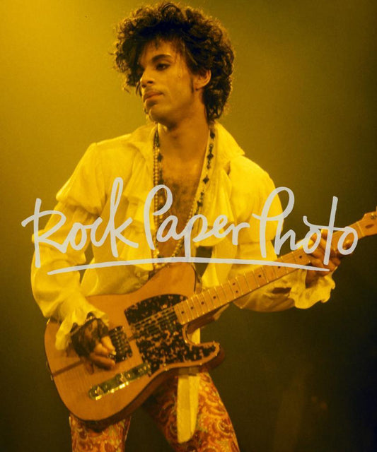 Prince by David Plastik