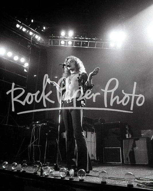 Robert Plant by Larry Hulst