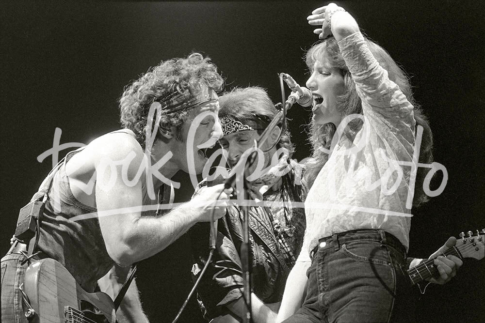Bruce Springsteen & The E Street Band by Art Meripol