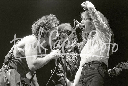 Bruce Springsteen & The E Street Band by Art Meripol