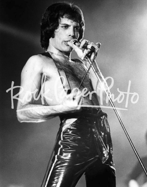 Freddie Mercury by Gus Stewart