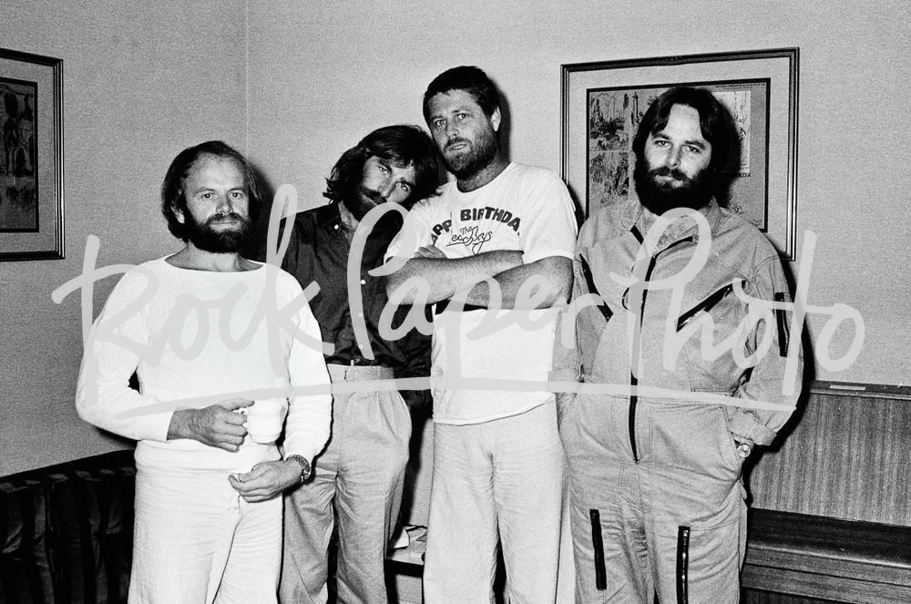 The Beach Boys by Steve Emberton