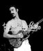 Frank Zappa by Larry Hulst