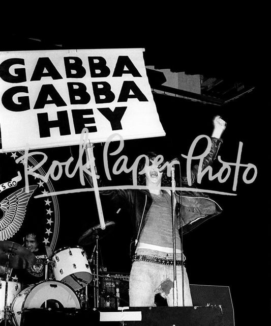 Ramones by Larry Hulst