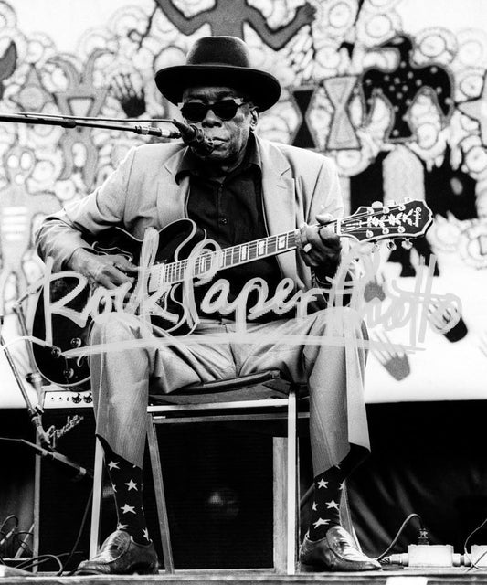 John Lee Hooker by Larry Hulst