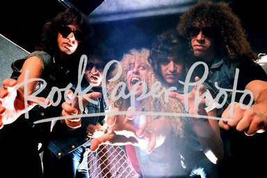 Twisted Sister by Chester Simpson