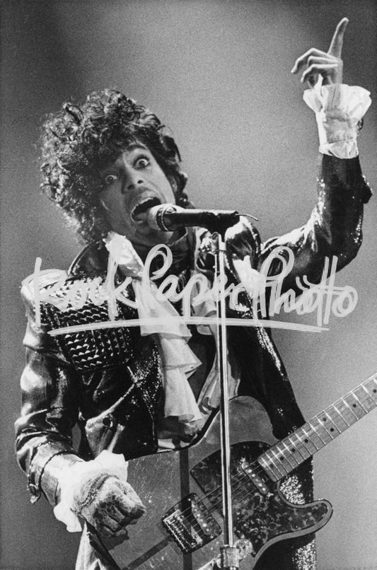 Prince from AP Collection