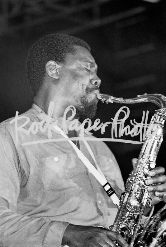 Clarence Clemons by Bobby Bank