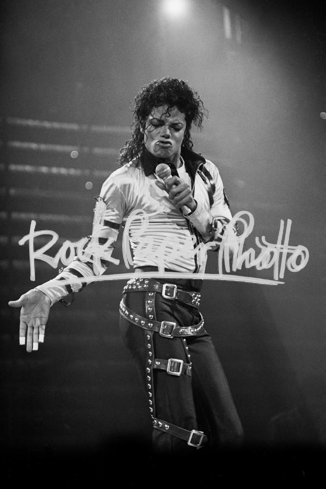 Michael Jackson by Janet Macoska