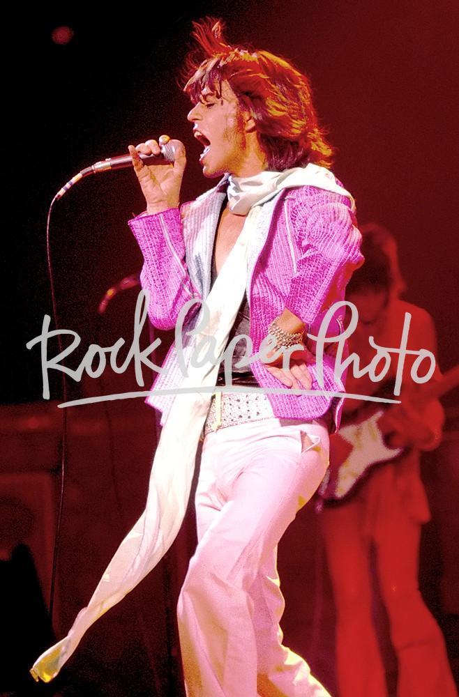 Mick Jagger by Ron Pownall