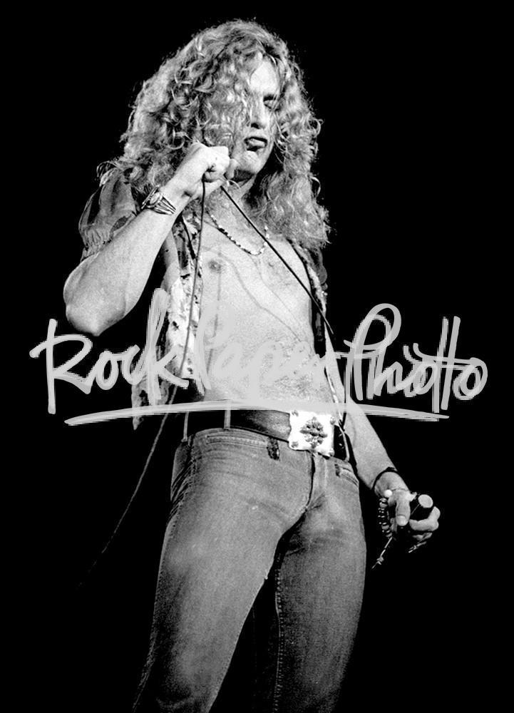 Robert Plant by Ron Pownall