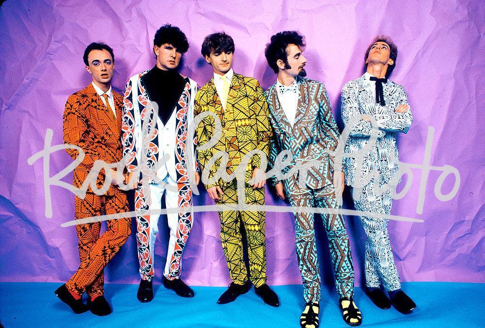 Split Enz by Bonnie Schiffman