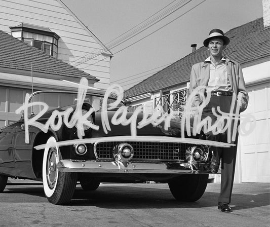 Frank Sinatra by Frank Worth